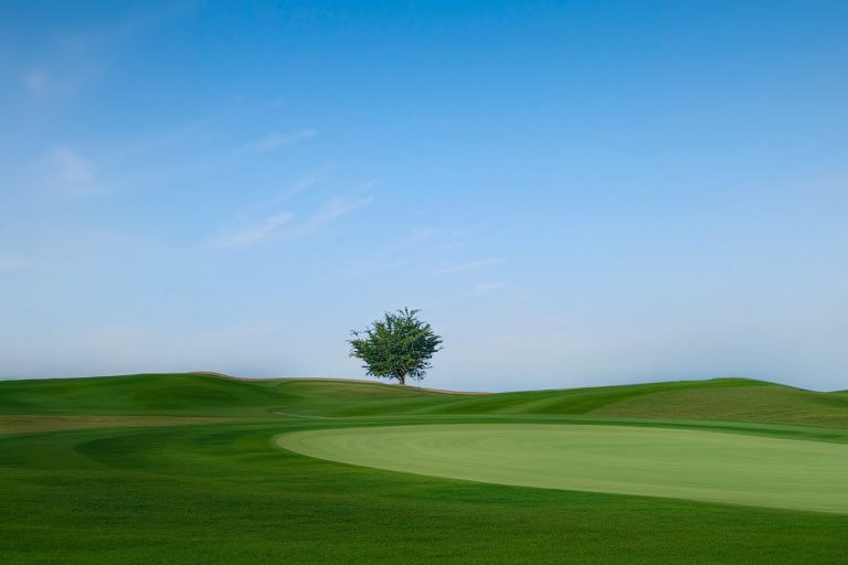 Golf course, tree, blue sky — Capture Every Goal, Strike, and Victory with Sports Broadcasting