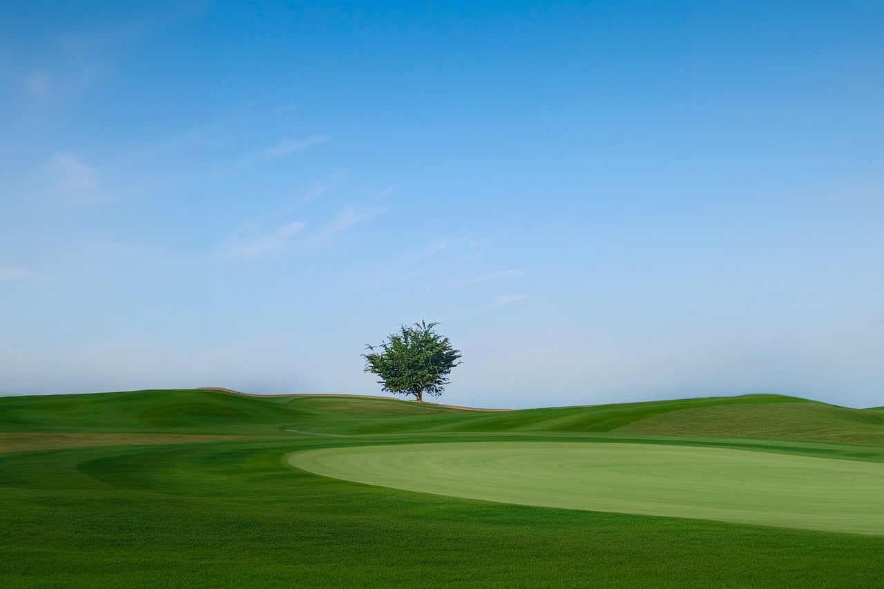 Golf course, tree, blue sky — Capture Every Goal, Strike, and Victory with Sports Broadcasting